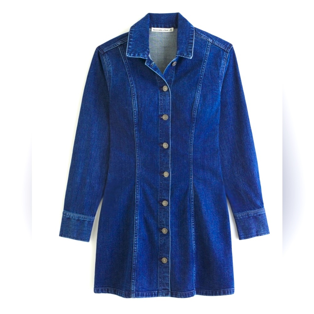 NWT Abercrombie Denim Long Sleeve Button Down Shirt Dress in dark wash